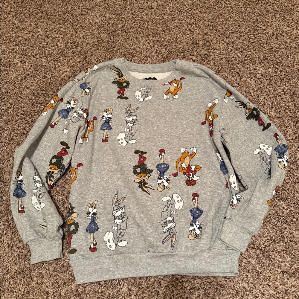 Warner Bros. Gray Cartoon Character Sweatshirt